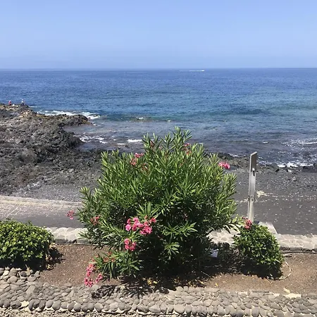 Apartment Max Neptuno 1st Line Ocean View